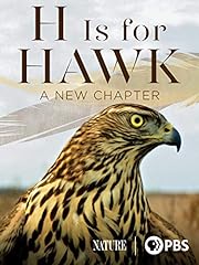Hawk new chapter for sale  Delivered anywhere in USA 