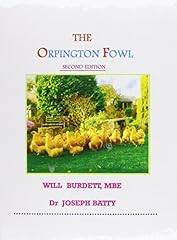 Orpington fowl d'occasion  Livré partout en France