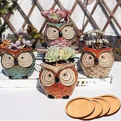 Gzqci succulent pots for sale  Delivered anywhere in USA 