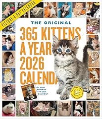 365 kittens year for sale  Delivered anywhere in USA 