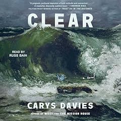 Clear novel d'occasion  Livré partout en France