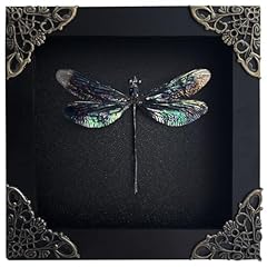 Real framed black for sale  Delivered anywhere in USA 