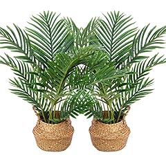 Kazeila palmier artificiel d'occasion  Livré partout en France