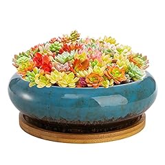 Peohud ceramic succulent for sale  Delivered anywhere in USA 