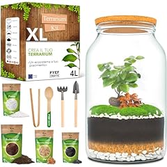 Pyef crafts terrarium usato  Spedito ovunque in Italia 