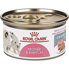 Royal feline mother gebraucht kaufen  Wird an jeden Ort in Deutschland