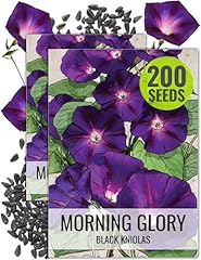 Seed needs black for sale  Delivered anywhere in USA 