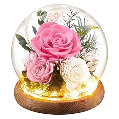 Preserved flowers rose for sale  Delivered anywhere in USA 