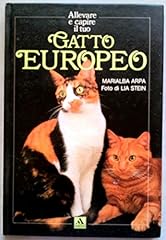 Gatto europeo usato  Spedito ovunque in Italia 