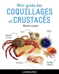 Mini guide coquillages d'occasion  Livré partout en France