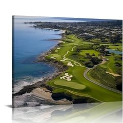 Gosmith pebble beach for sale  Delivered anywhere in USA 