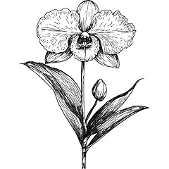 Blooming orchid rubber for sale  Delivered anywhere in UK