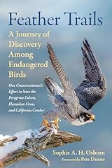 Feather trails journey for sale  Delivered anywhere in USA 