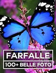 Libro fotografico farfalle usato  Spedito ovunque in Italia 