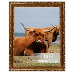 Fjxmframe 11x14 picture for sale  Delivered anywhere in USA 