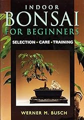 Indoor bonsai beginners for sale  Delivered anywhere in UK