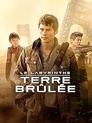 Labyrinthe terre brûlée d'occasion  Livré partout en France