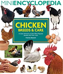 Mini encyclopedia chicken for sale  Delivered anywhere in USA 