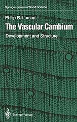 The vascular cambium usato  Spedito ovunque in Italia 