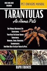 Tarantulas home pets for sale  Delivered anywhere in Ireland