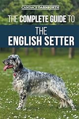 Complete guide english for sale  Delivered anywhere in Ireland