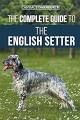 Complete guide english for sale  Delivered anywhere in USA 