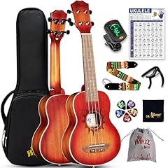Winzz ukulele sopran gebraucht kaufen  Wird an jeden Ort in Deutschland