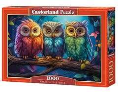 Castorland puzzle 1000 gebraucht kaufen  Wird an jeden Ort in Deutschland