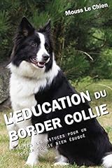 Education border collie d'occasion  Livré partout en France