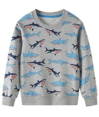 Soibeen jungen sweatshirt gebraucht kaufen  Wird an jeden Ort in Deutschland