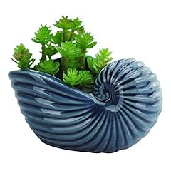 Vanenjoy ceramic succulent for sale  Delivered anywhere in USA 