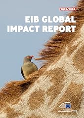 Eib global impact gebraucht kaufen  Wird an jeden Ort in Deutschland