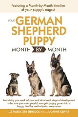 German shepherd puppy for sale  Delivered anywhere in UK