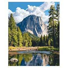 Paint numbers yosemite for sale  Delivered anywhere in USA 