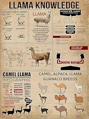 Llama knowledge metal for sale  Delivered anywhere in USA 