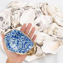 15pcs oyster shells for sale  Delivered anywhere in USA 