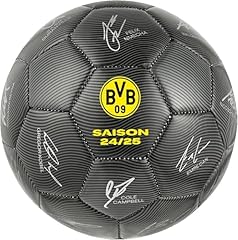 Borussia dortmund bvb gebraucht kaufen  Wird an jeden Ort in Deutschland