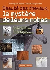Beauté chevaux mystère d'occasion  Livré partout en France