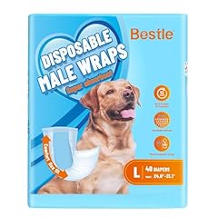 Bestle male dog for sale  Delivered anywhere in USA 