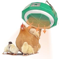 Lzexin poultry heat for sale  Delivered anywhere in UK