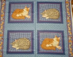 Ginger grey cats for sale  Delivered anywhere in UK