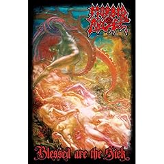 Morbid angel blessed gebraucht kaufen  Wird an jeden Ort in Deutschland