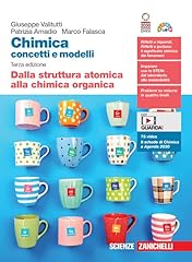 Chimica concetti modelli. usato  Spedito ovunque in Italia 