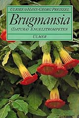 Brugmansia engelstrompeten d'occasion  Livré partout en France