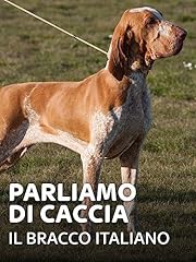 Parliamo caccia bracco usato  Spedito ovunque in Italia 