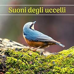 Suoni degli uccelli usato  Spedito ovunque in Italia 