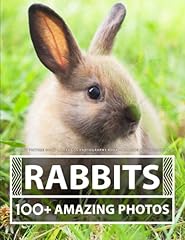 Rabbit picture book for sale  Delivered anywhere in USA 