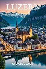 Luzern reiseführer 2025 gebraucht kaufen  Wird an jeden Ort in Deutschland
