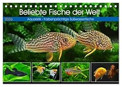 Beliebte fische der d'occasion  Livré partout en Belgiqu