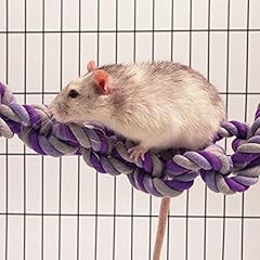 Boredom breaker rat for sale  Delivered anywhere in UK